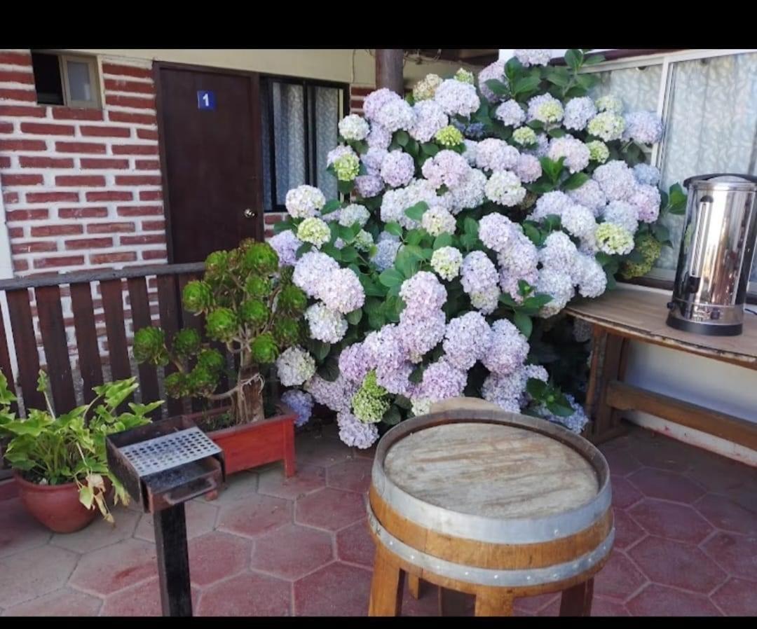 Casa de hóspedes Traveland Surf Pichilemu