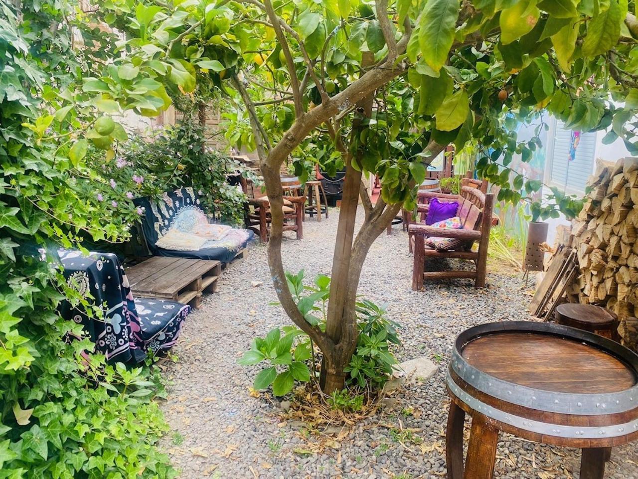 Casa de hóspedes Traveland Surf Pichilemu